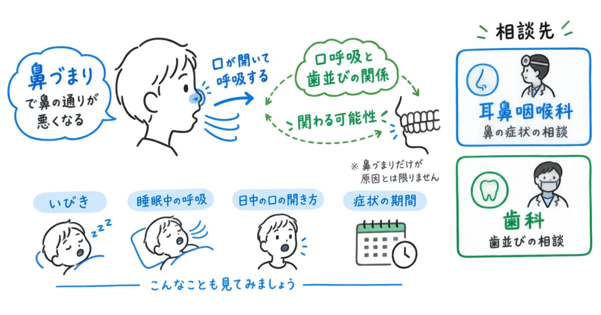 子どもの鼻づまりで歯並びが心配？口呼吸との関わりと相談先